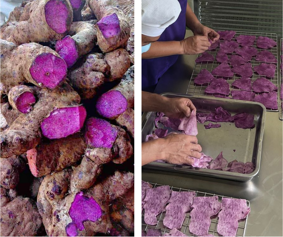 sechage ube philippines